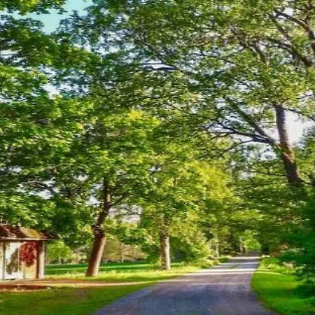 Virtaan Vaeentupa By Interhome * Nuoramoinen