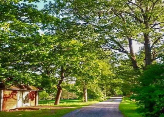 Virtaan Vaeentupa By Interhome * Nuoramoinen